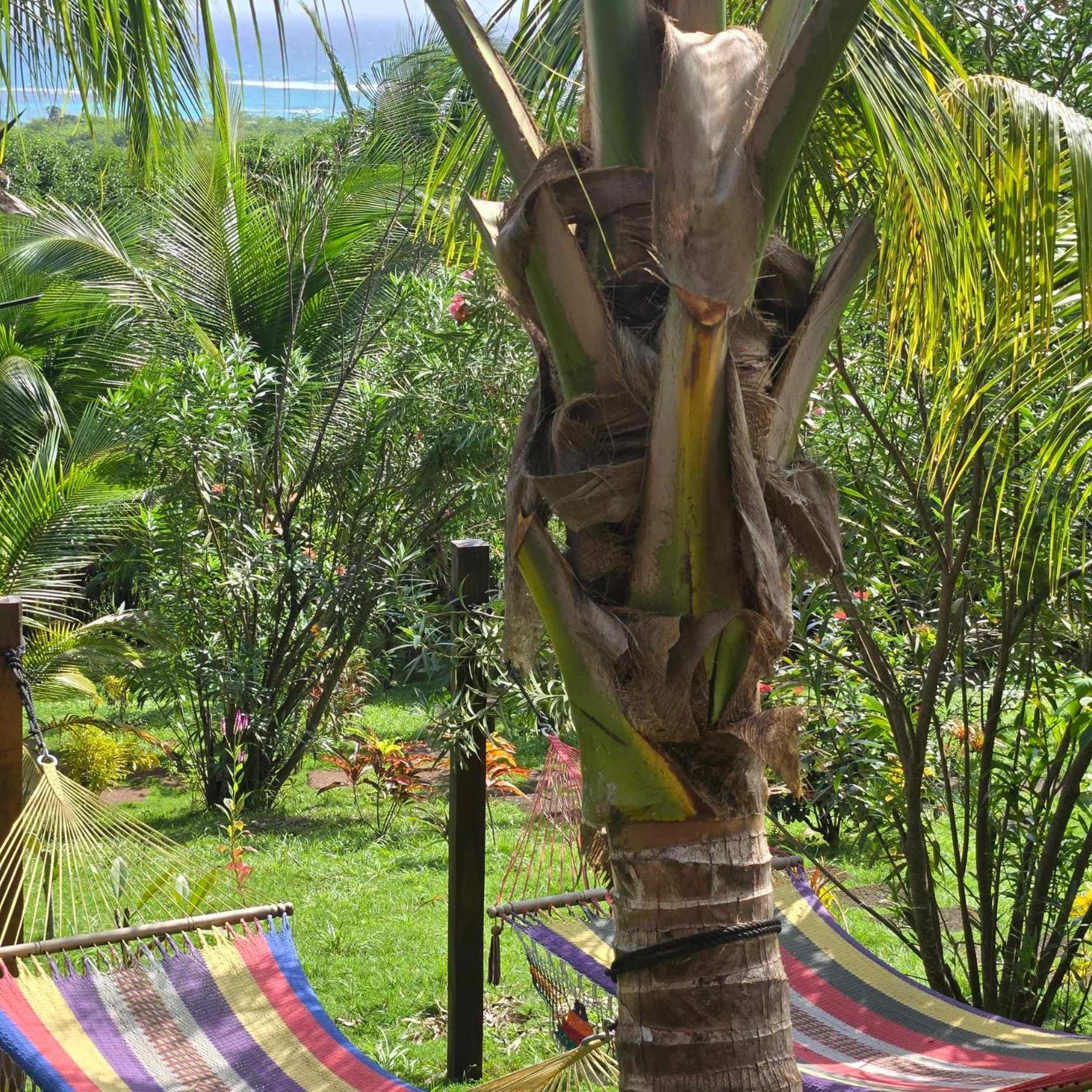 Отель The Lighthouse Retreat, Little Corn Island, Nicaragua Экстерьер фото